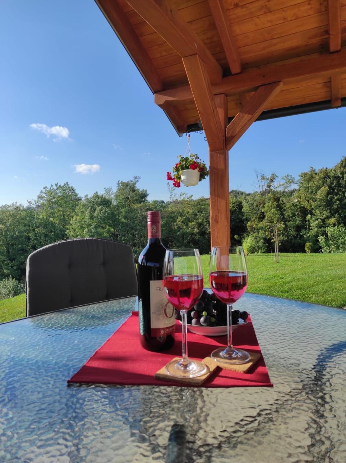 Apartment Kuca Za Odmor Piccolina Vinica